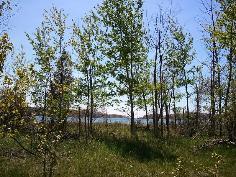 Fairway W photo 1