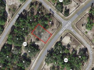 11482 N G Martinelli Blvd, Citrus Springs, FL 34433