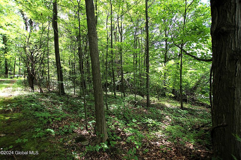 4th image of 544 Rector Road