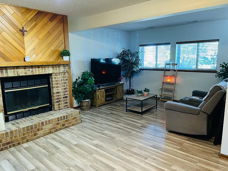 Family Room (Lower Level)