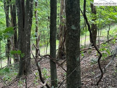 Lot 648 Longview Ln or Merrywood Drive, West Jefferson, NC, 28694
