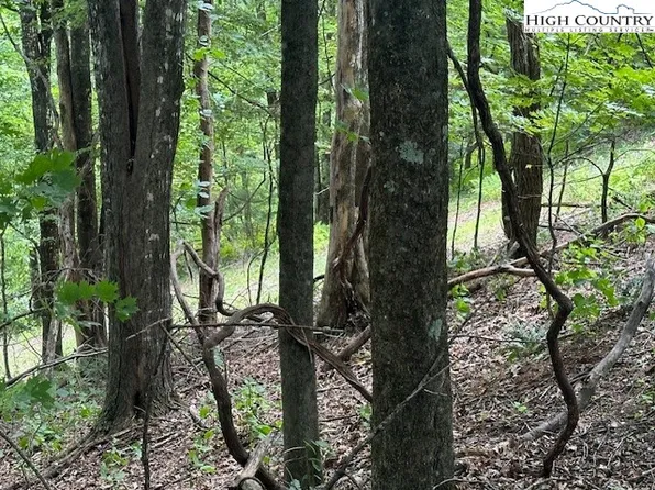 Lot 648 Longview Ln or Merrywood Drive, West Jefferson, NC 28694