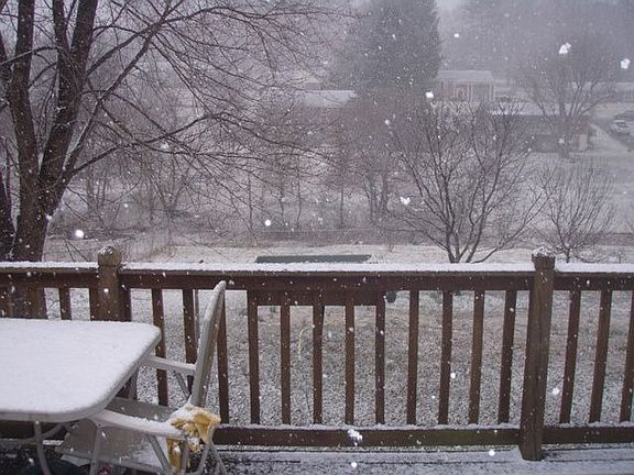 Deck View