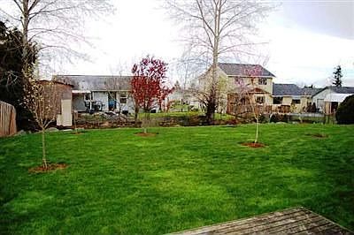 Back yard view with trees and room for a garden space.