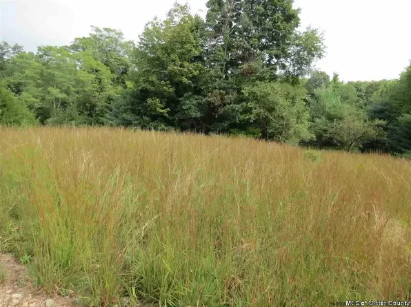 90 Sheldon Hill Rd, Olivebridge, NY 12461