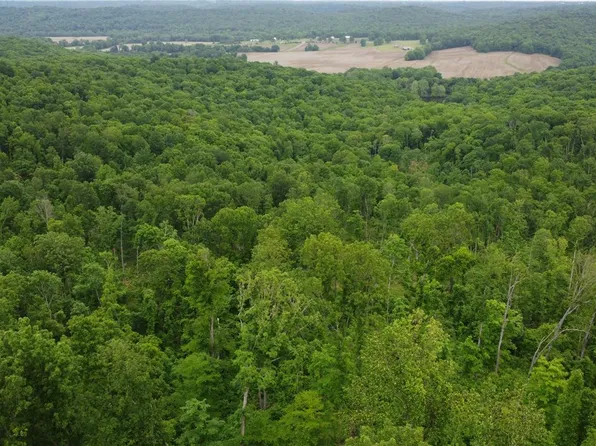 Marvin Powell Rd, Elkton, KY 42220