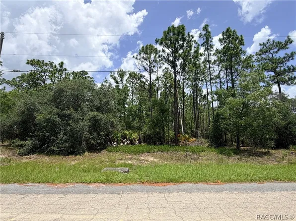 6455 W Conestoga St, Beverly Hills, FL 34465