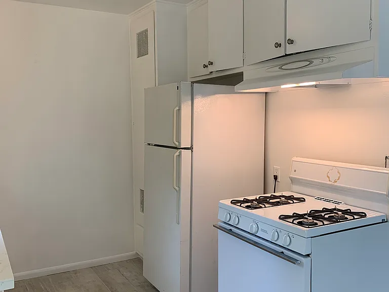 Kitchen includes stove and fridge