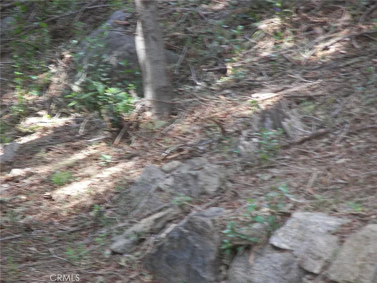 21636 Sawpit Canyon Rd — Photo 71