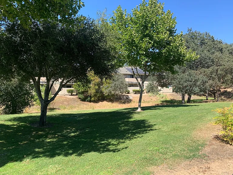 Dry Creek Apartments — Photo 39