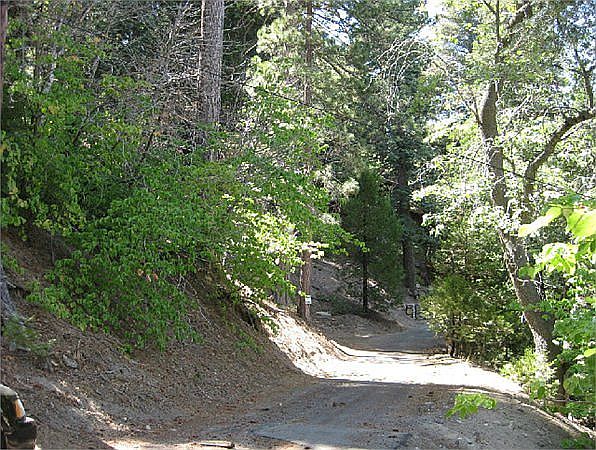 1st image of Sugar Cone Ln
