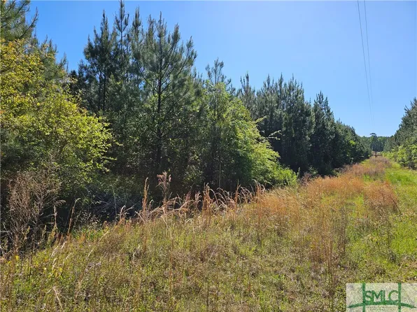 0 Mouth of the Creek Road, Sylvania, GA 30467
