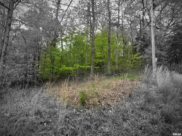 Lots 120 & 121 N Lakeshore Dr, Goreville, IL 62939