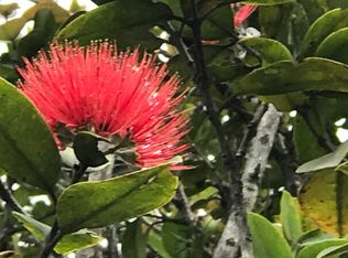 Kokokahi Rd LOT 72, Volcano, HI 96785