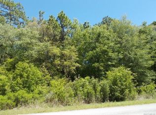 19895 SW 59th Ln, Dunnellon, FL 34431