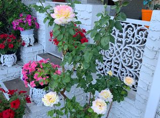 3490 Holland St, Wheat Ridge, CO 80033