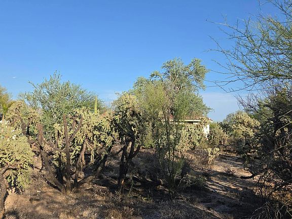 2nd image of 4411 W Mesquital Del Oro