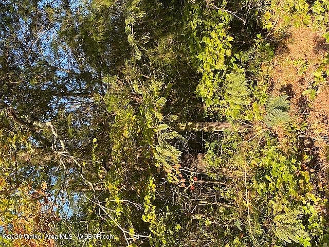 2nd image of Duskin Point Rd