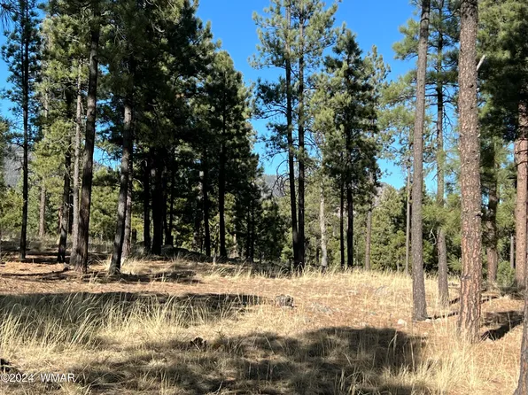 LOT County Road 2147 N, Alpine, AZ 85920