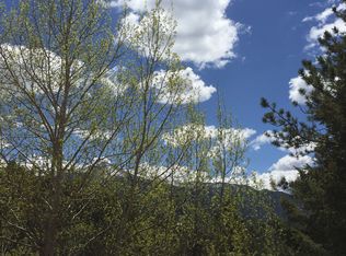 448 Woodrock Way, Divide, CO 80814