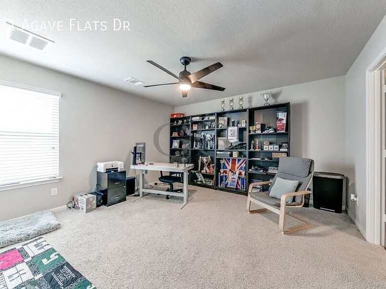 471 Agave Flats Dr — Photo 21