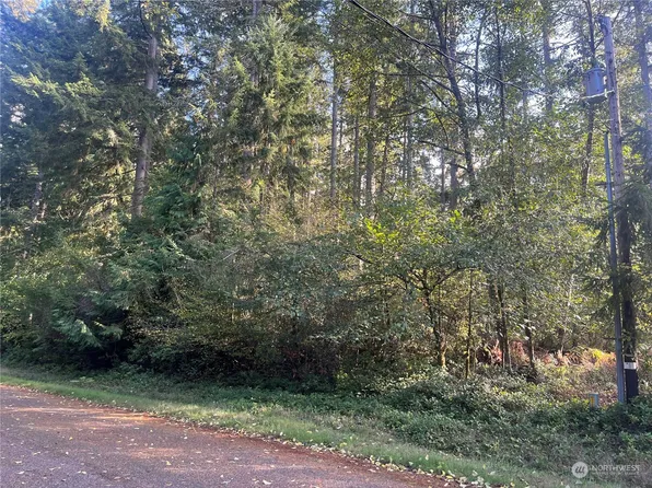 11212 106th Street, Anderson Island, WA 98303