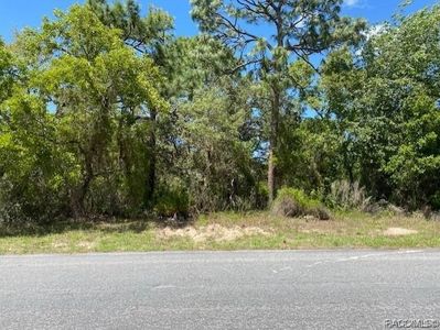 8 Sweetbay Ct, Homosassa, FL, 34446
