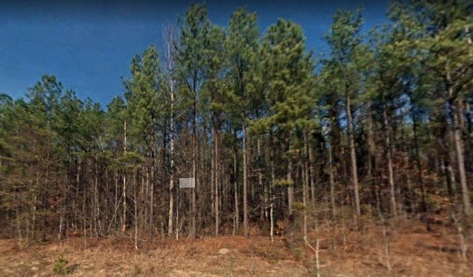 2nd image of lot 2 Mcdaniel Drive