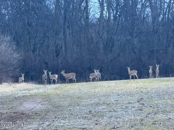 2092 Hinkle Ln, Shelbyville, KY 40065