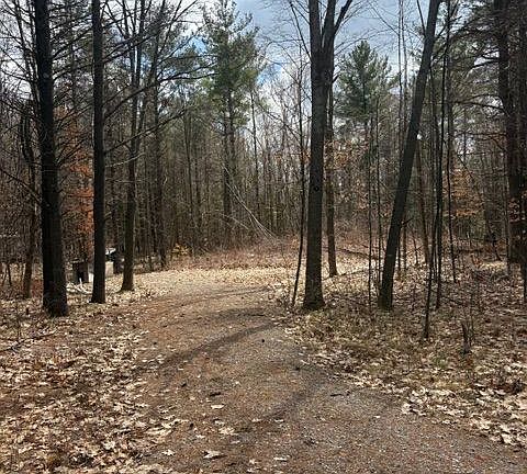5th image of 97 Greenly Rd