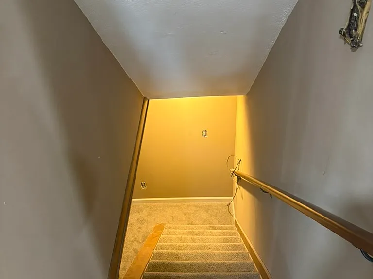 48 Curtisdale Ln — Photo 28