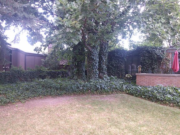 Beautiful landscaped yard