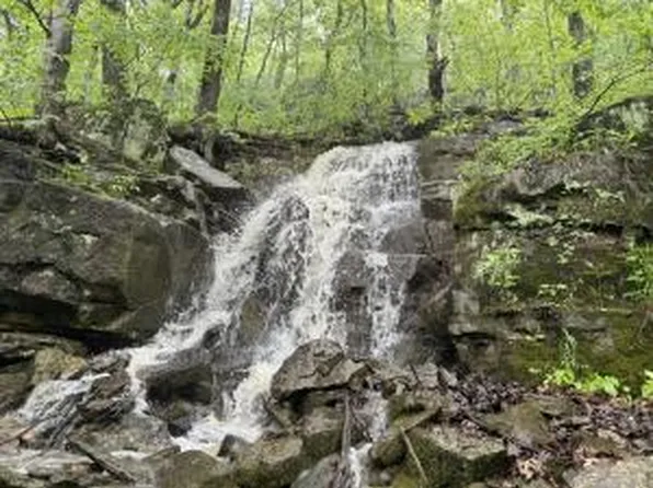 60 Nc #3328, Harrison, AR 72601