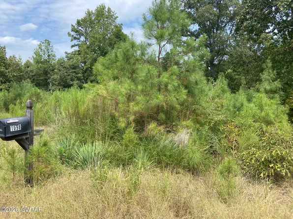 1098 Otis Paine Rd, Bethel Springs, TN 38315