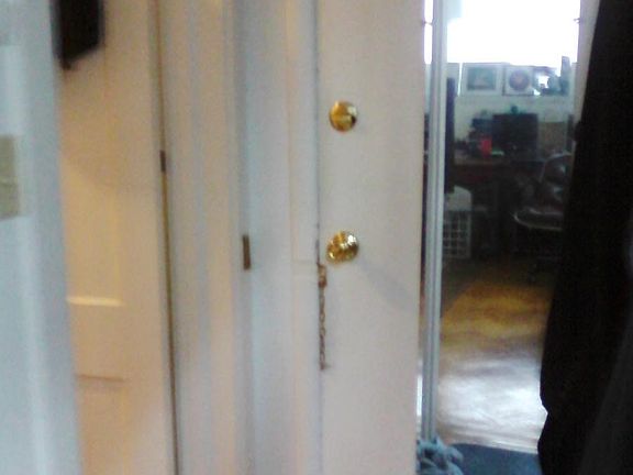 5th image of 1316 Pine St #1