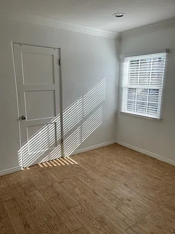 1833 Grant Ave #B — Photo 3