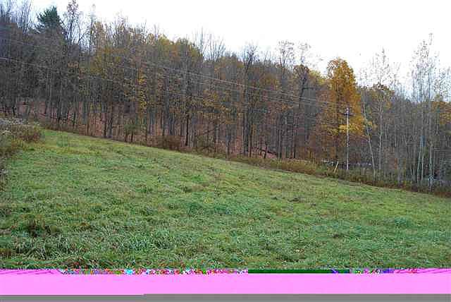 2nd image of 0 KAUTZ HOLLOW Road