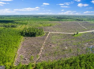 TRACT 4 Morris Break Rd, Odum, GA 31555