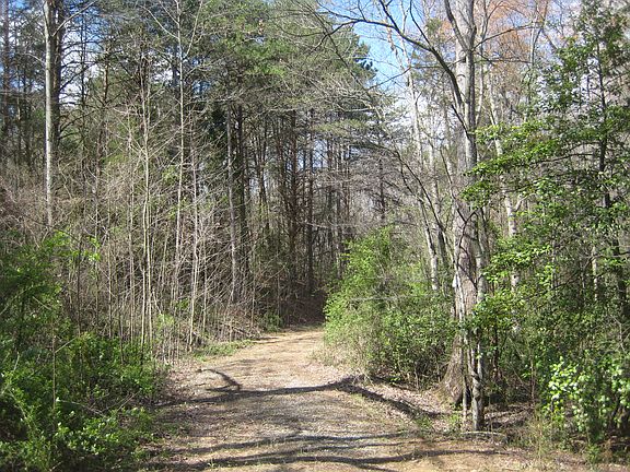 3rd image of 134 Natures Way Dr