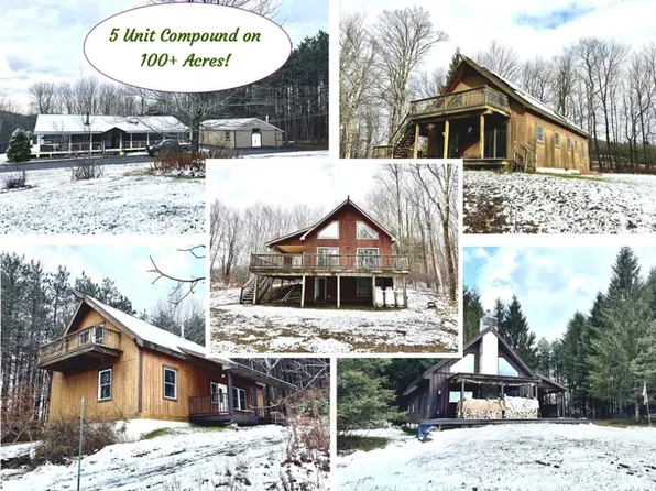 175 Hovick Rd, Hartwick, NY 13348