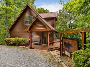 294 Oakwood Trl, Mineral Bluff, GA 30559