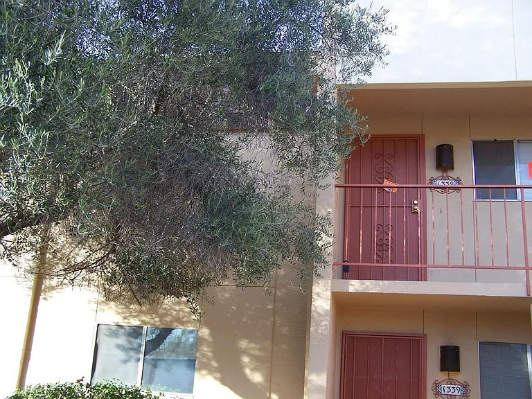 1339 E Fort Lowell Rd #M — Photo 3