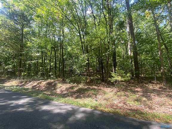 3rd image of 900 County Road 114