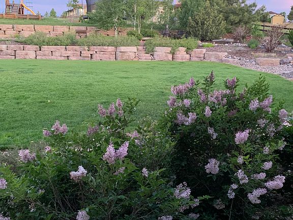 View from back porch