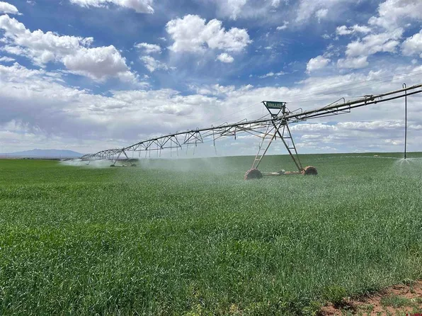 TBD Road 15, Cahone, CO 81320