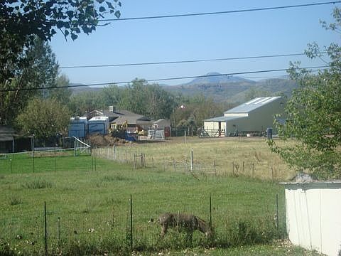 Sunny Back Yard with Mesa Views