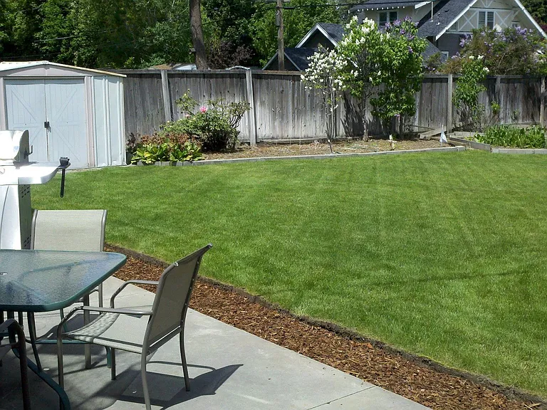 Large concrete back patio