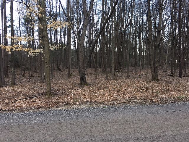 1st image of Buck Fever Dr