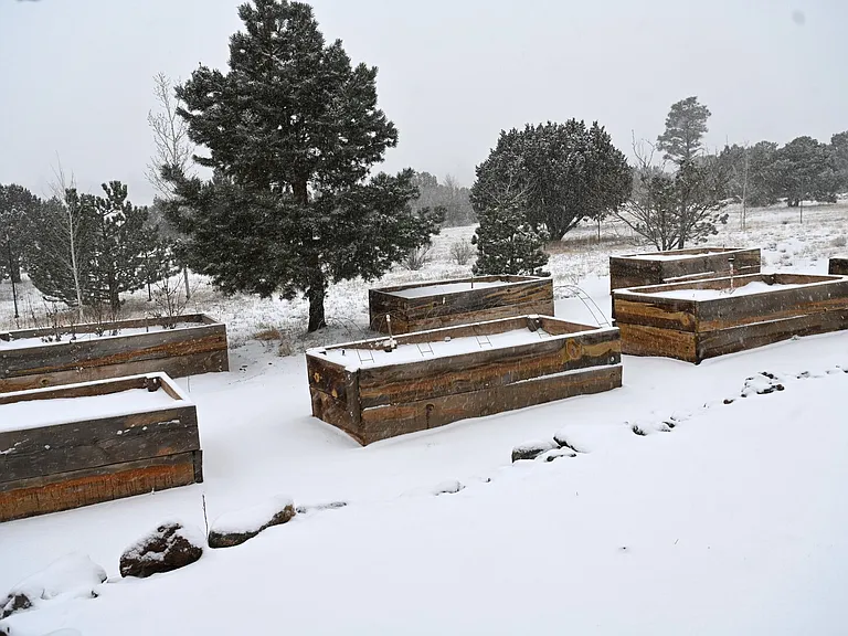 Arroyo Trl — Photo 35