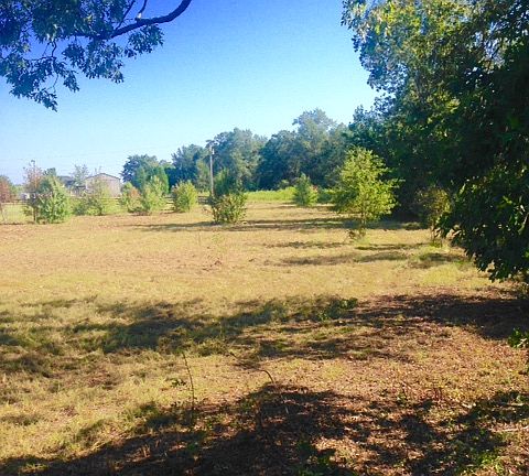 5th image of 2548 Cedar Grove Road Leesville Sc 29070